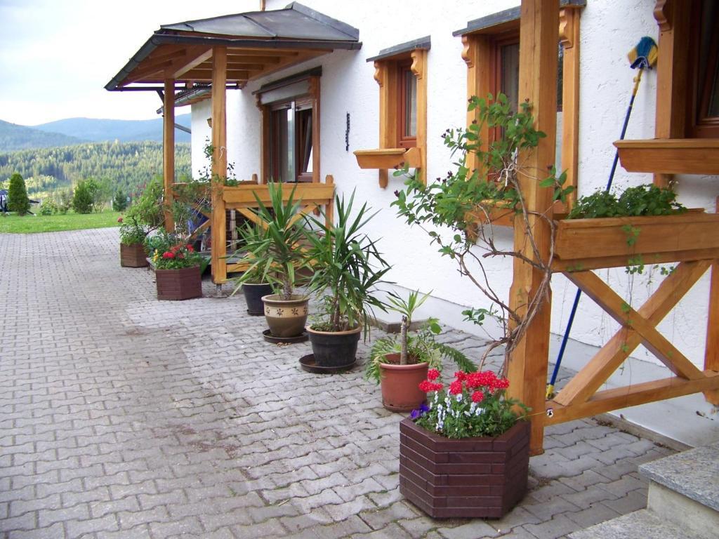 Apartment Gaestehaus Rachelblick Frauenau
